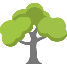 Sterling Tree Trimming Service