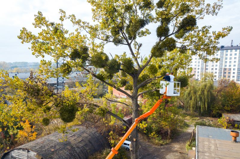 Commercial Tree Service